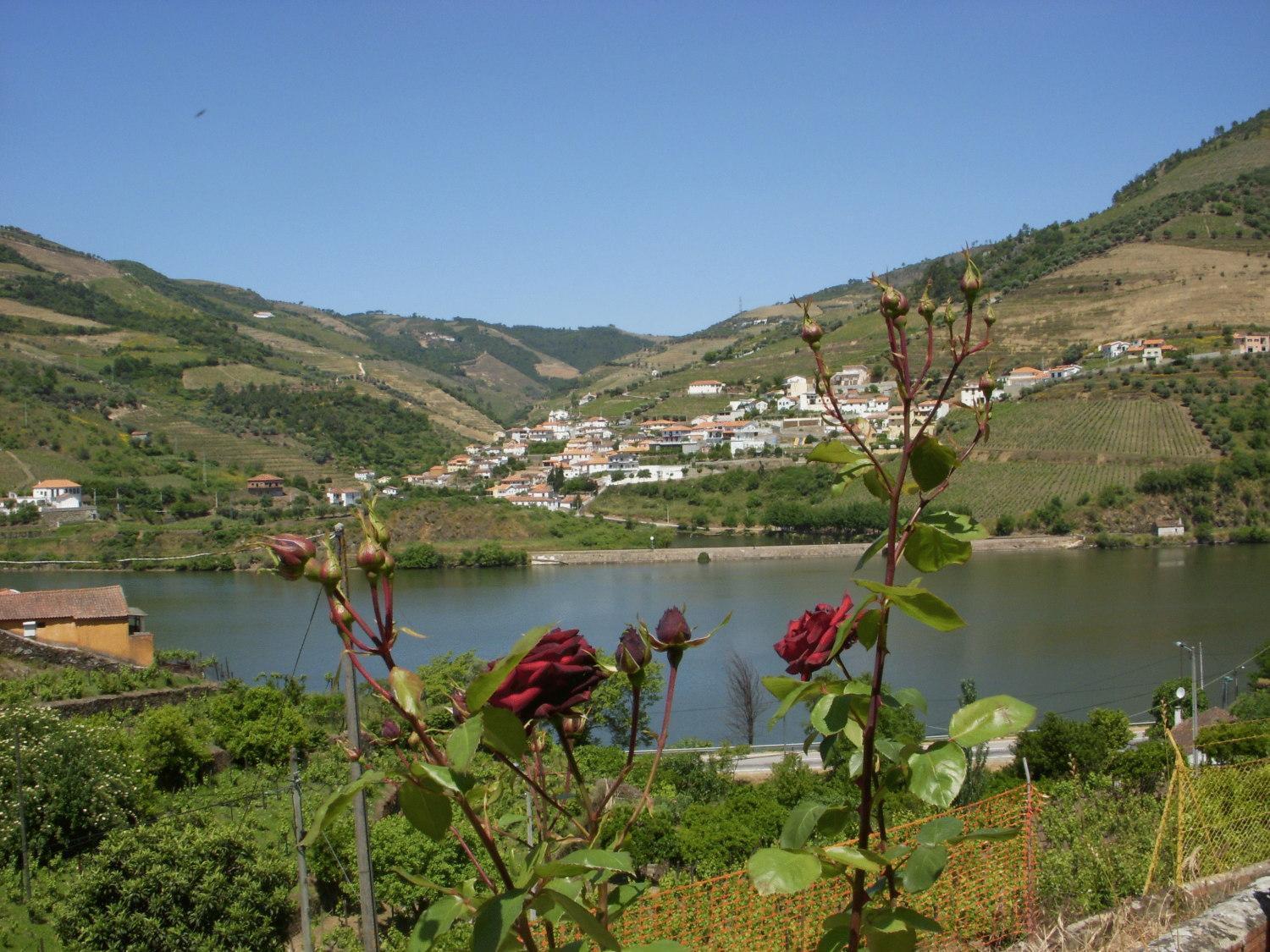 Quinta Da Azenha Hotel Folgosa  Exterior photo